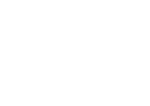 Artboard 1 copy
